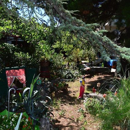 Grebaštica Holiday House Neno מראה חיצוני תמונה